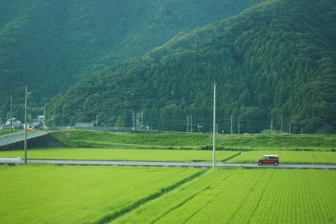 田んぼの中の道を走る車