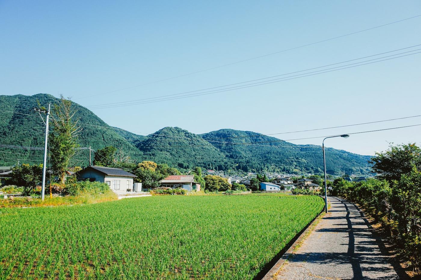 山あいの集落と畑